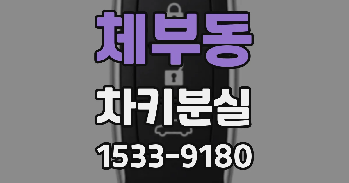체부동 차키분실