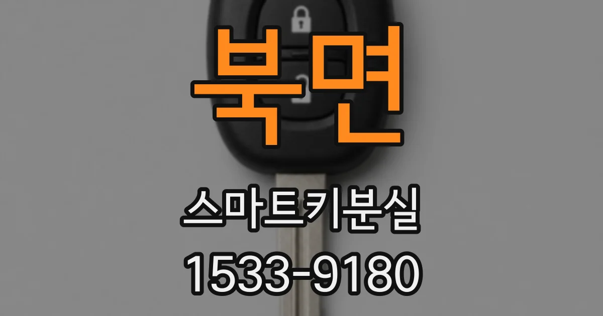 북면 스마트키분실