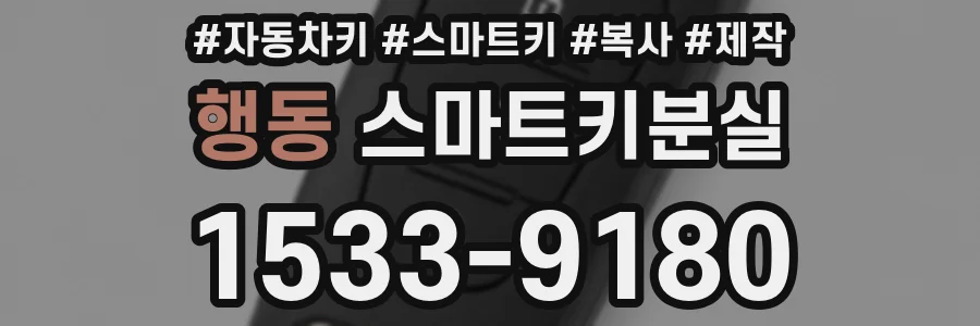 행동 스마트키분실