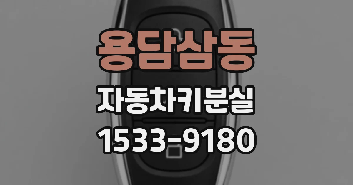 용담삼동 자동차키분실