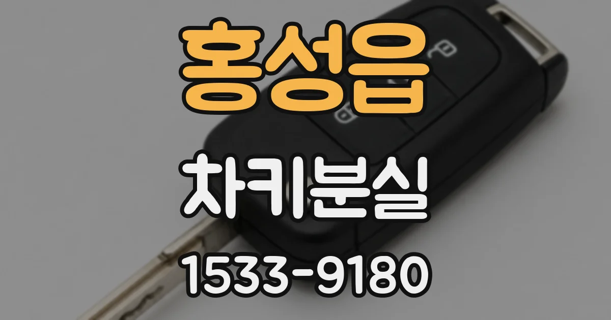 홍성읍 차키분실