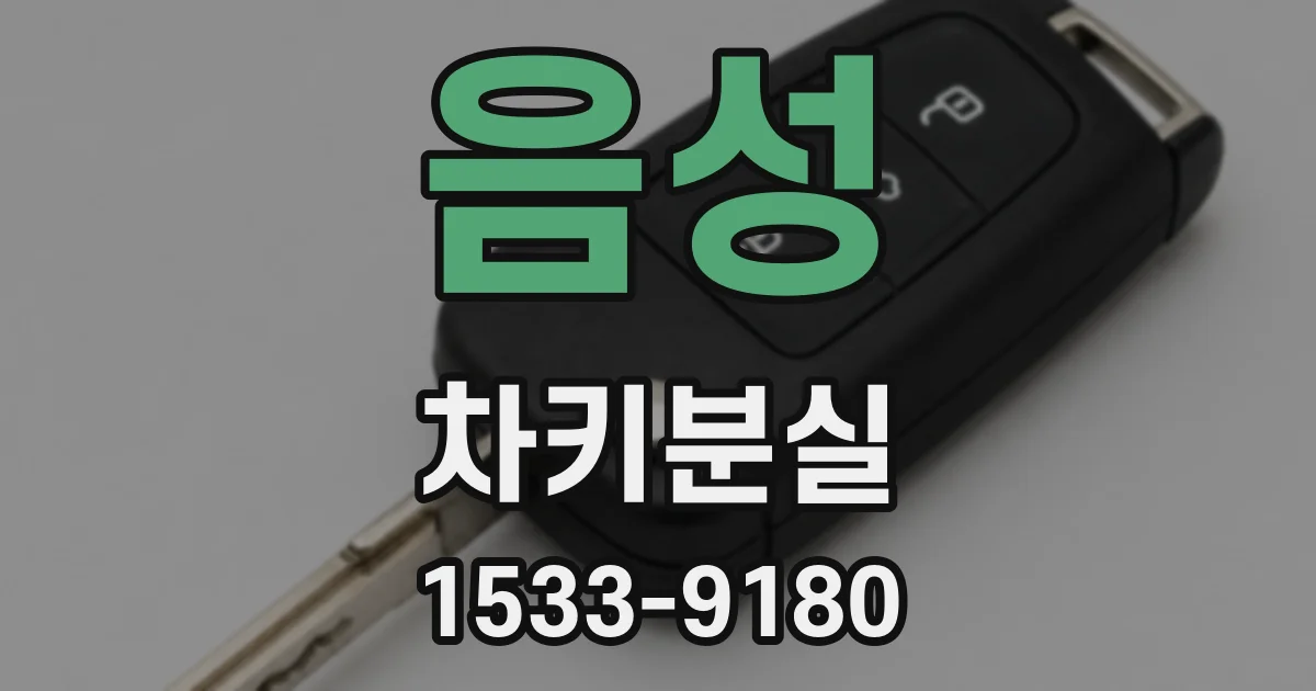 음성 차키분실