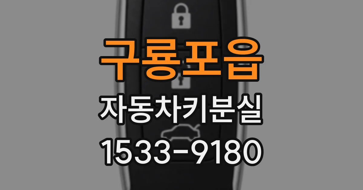 구룡포읍 자동차키분실