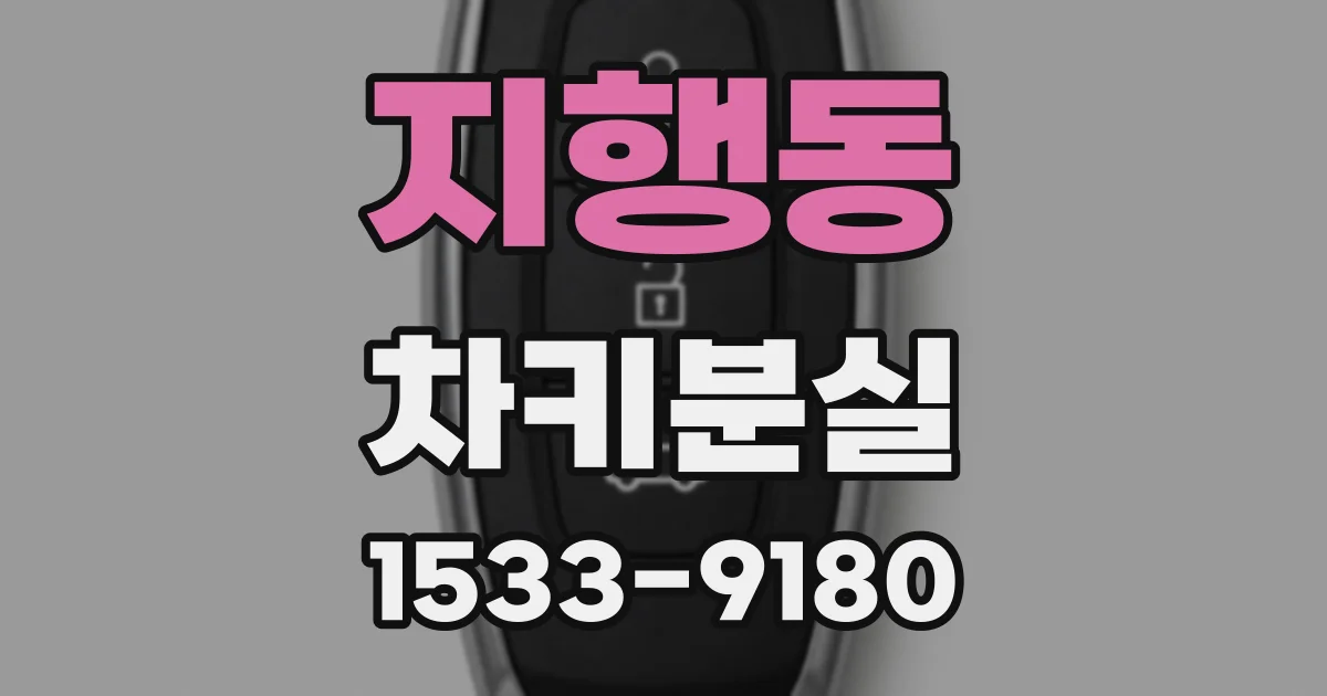 지행동 차키분실