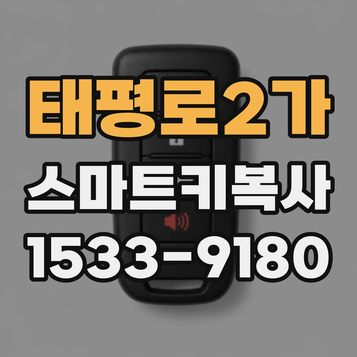 태평로2가 스마트키복사