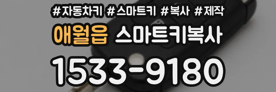 애월읍 스마트키복사