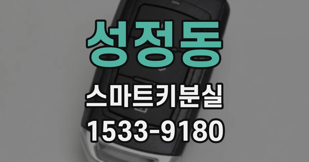 성정동 스마트키분실
