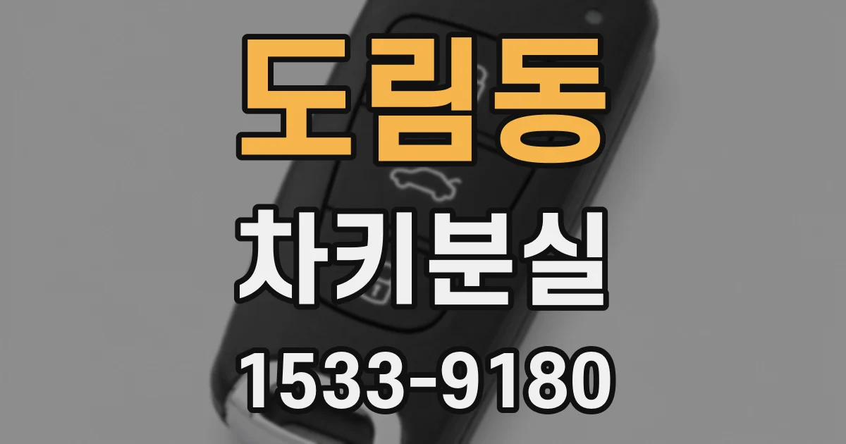 도림동 차키분실