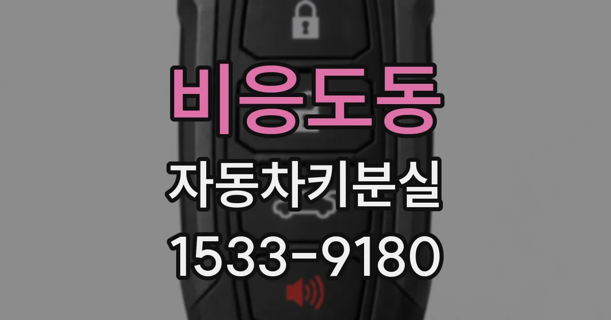 비응도동 자동차키분실