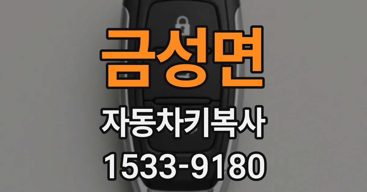 금성면 자동차키복사