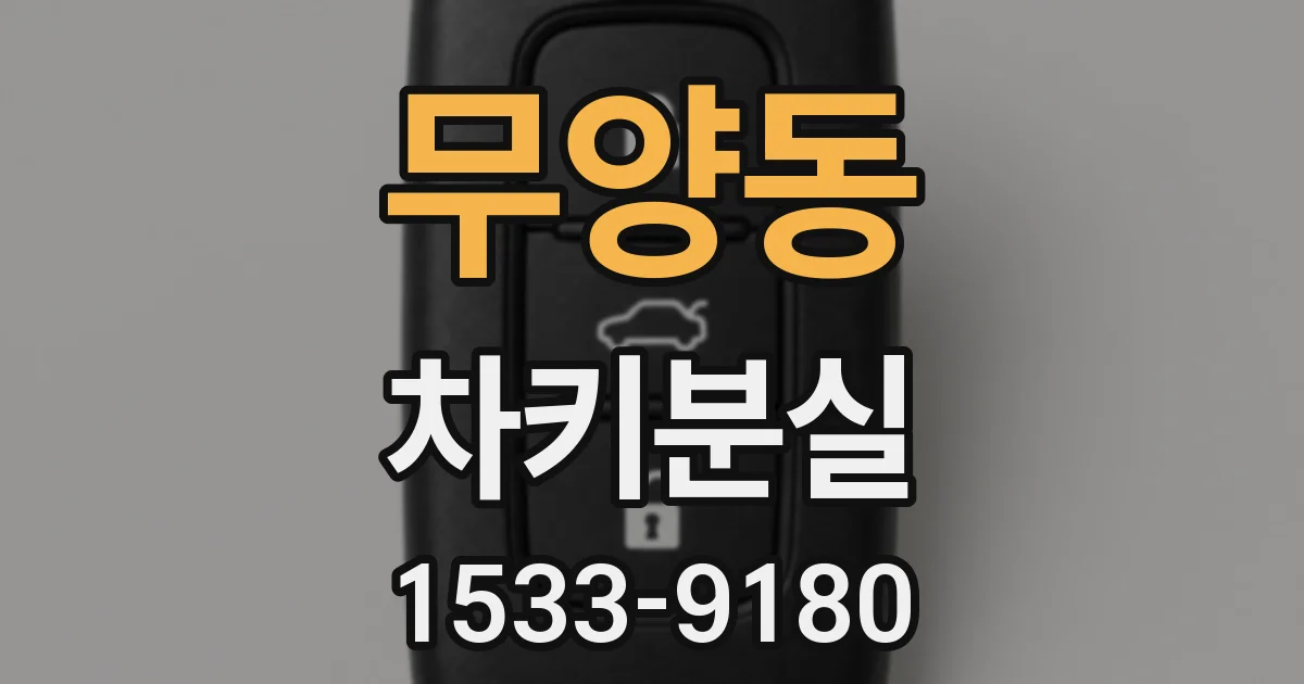 무양동 차키분실