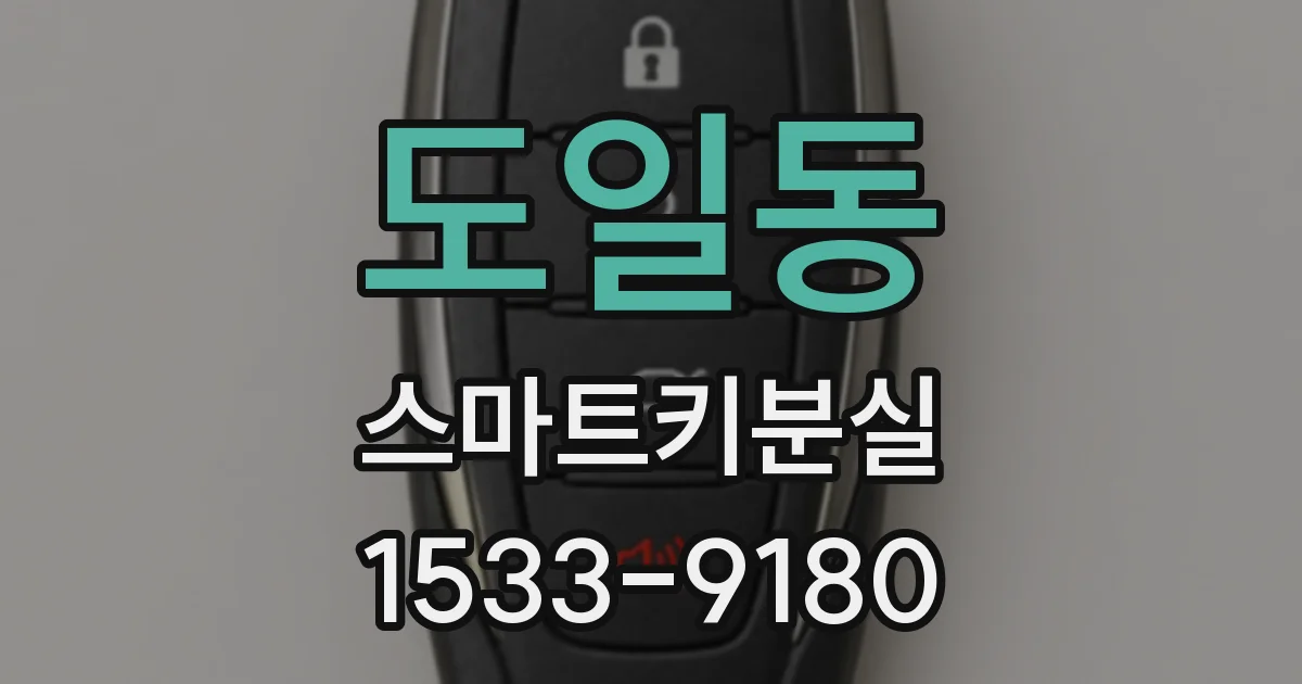 도일동 스마트키분실