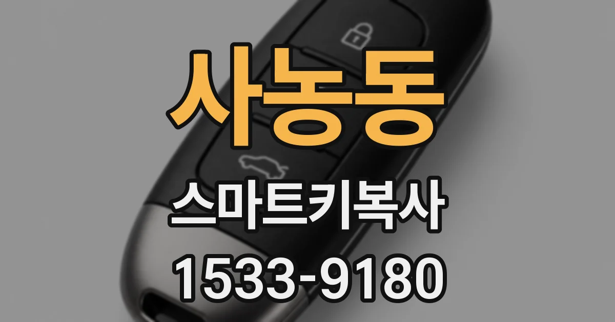 사농동 스마트키복사