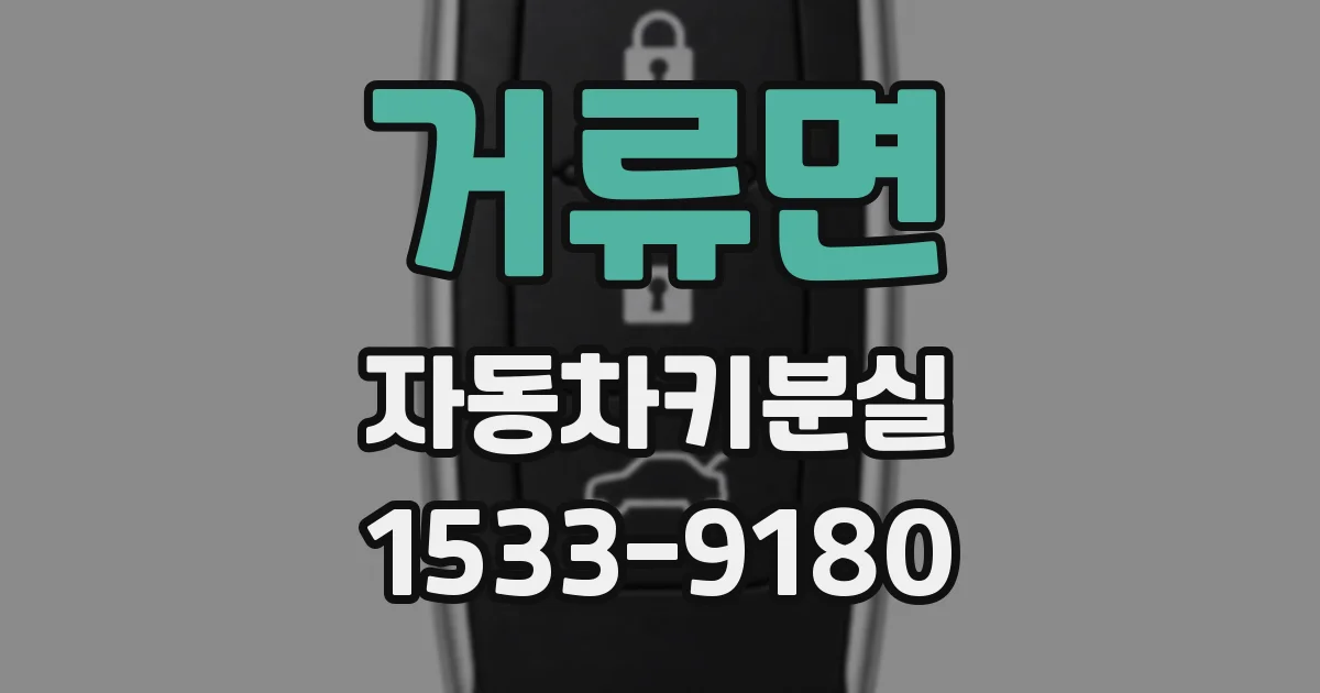 거류면 자동차키분실
