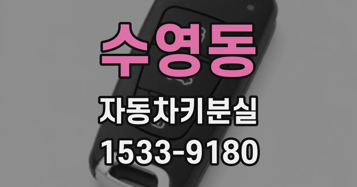 수영동 자동차키분실