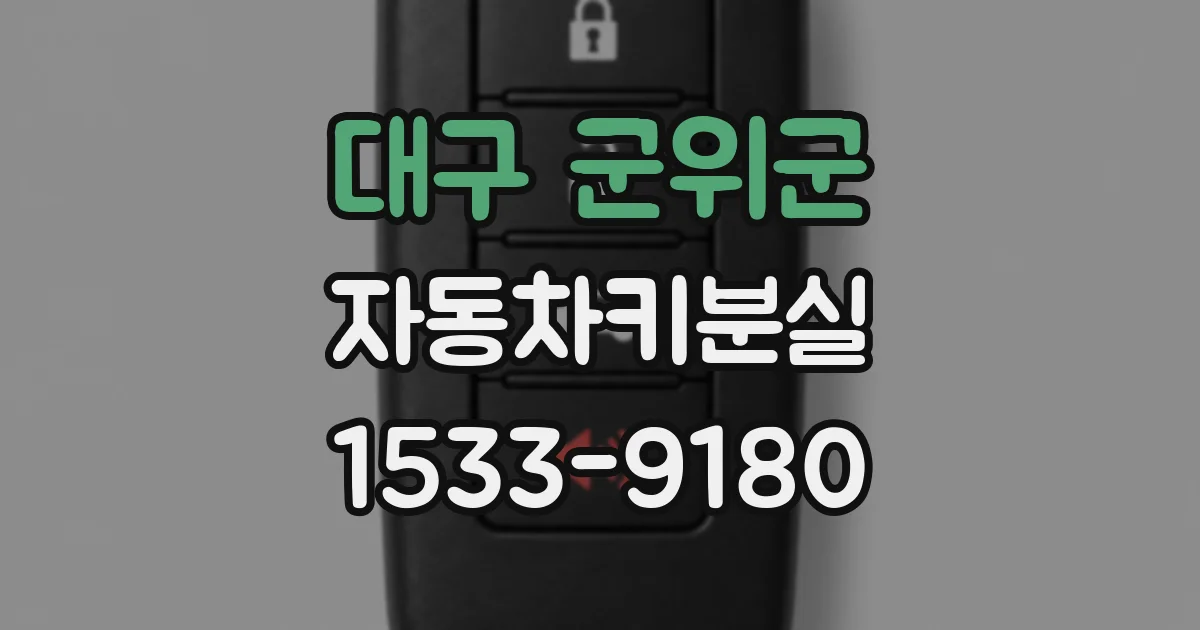 대구 군위군 자동차키분실