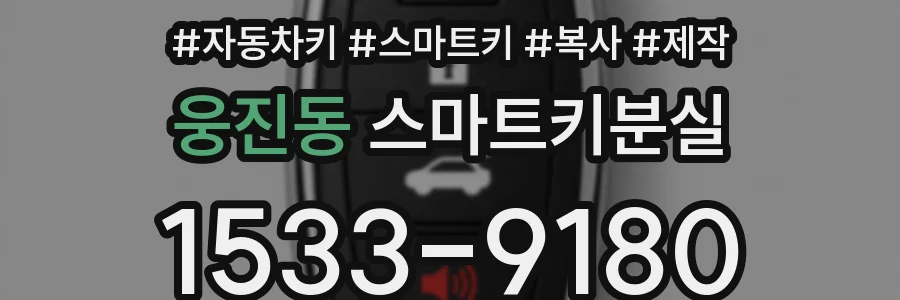 웅진동 스마트키분실