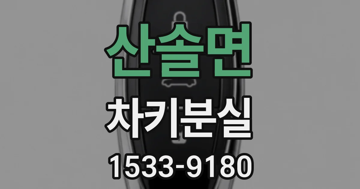 산솔면 차키분실