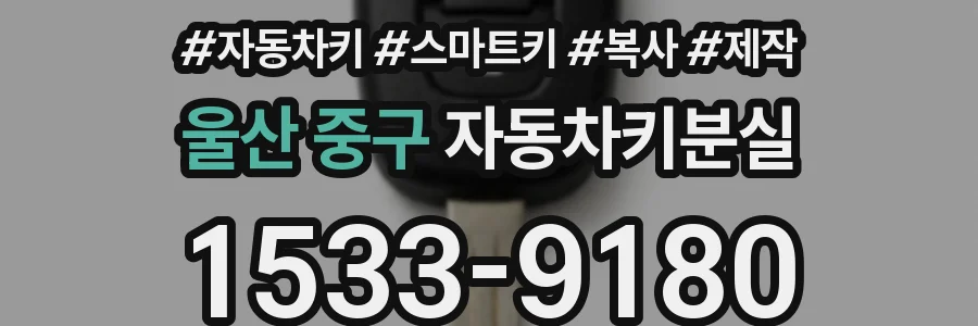 울산 중구 자동차키분실