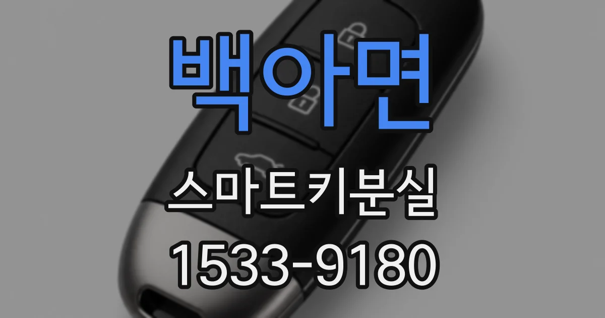 백아면 스마트키분실