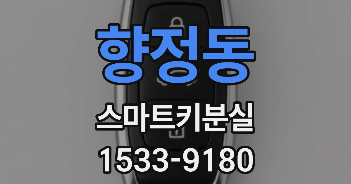 향정동 스마트키분실