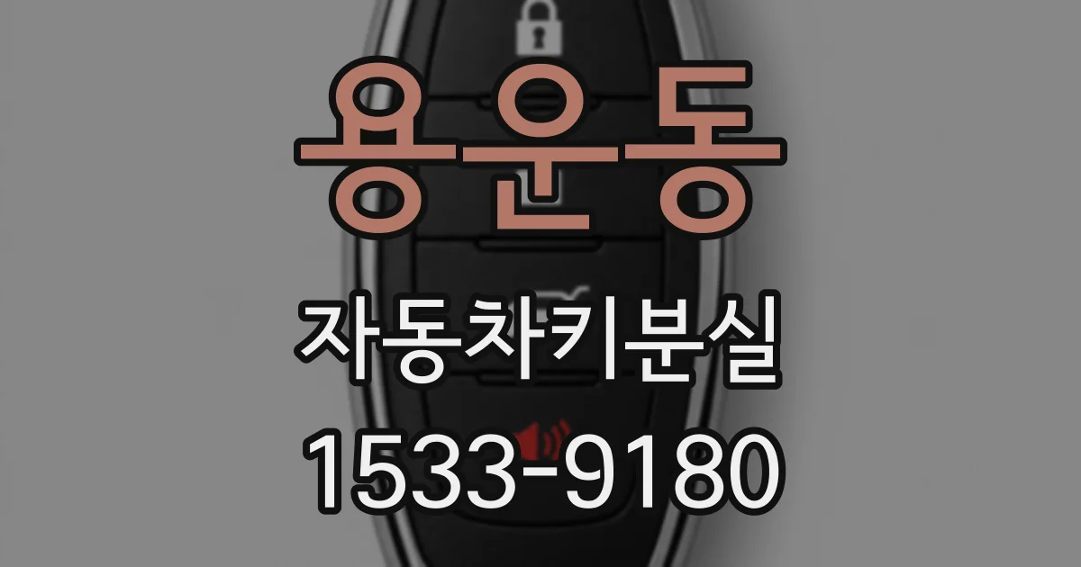 용운동 자동차키분실