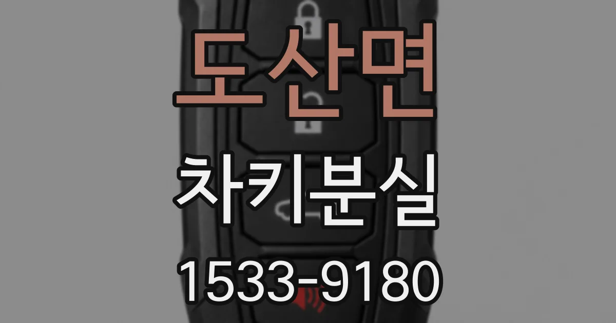 도산면 차키분실
