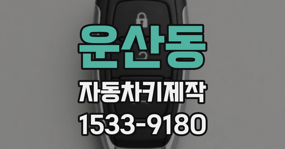 운산동 자동차키제작
