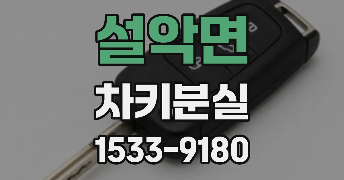 설악면 차키분실