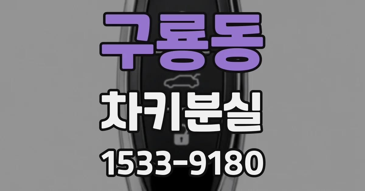 구룡동 차키분실