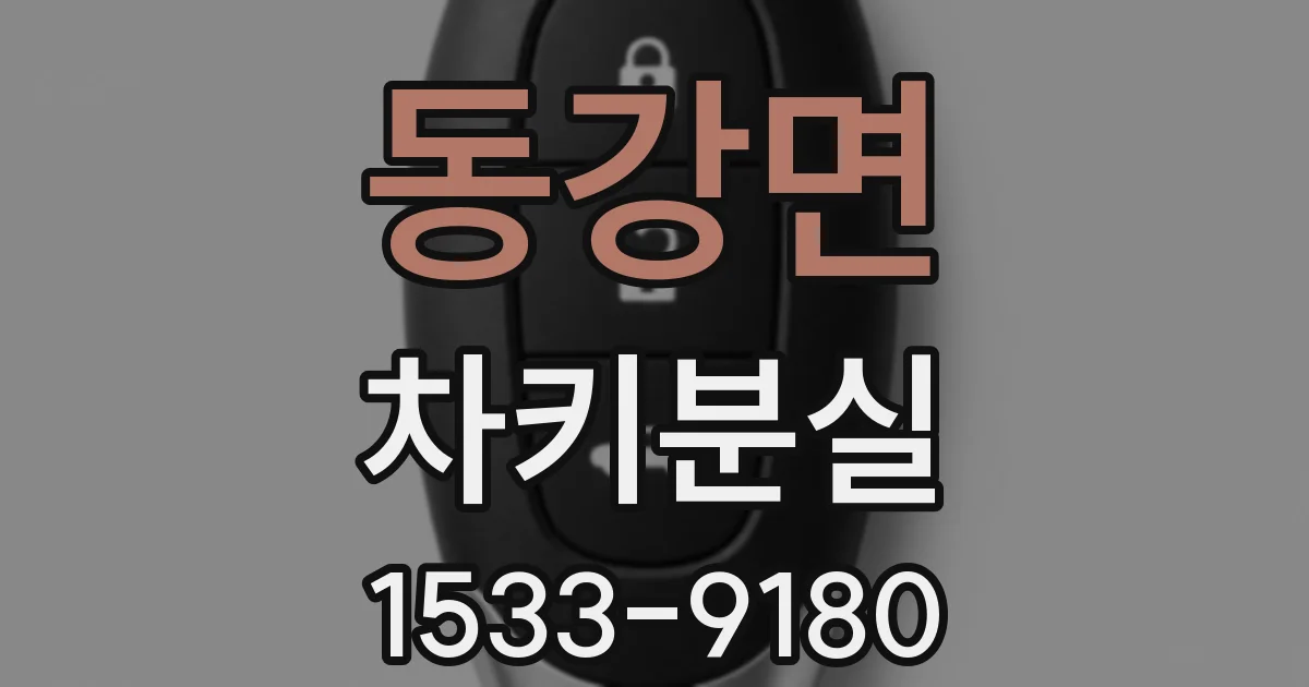 동강면 차키분실