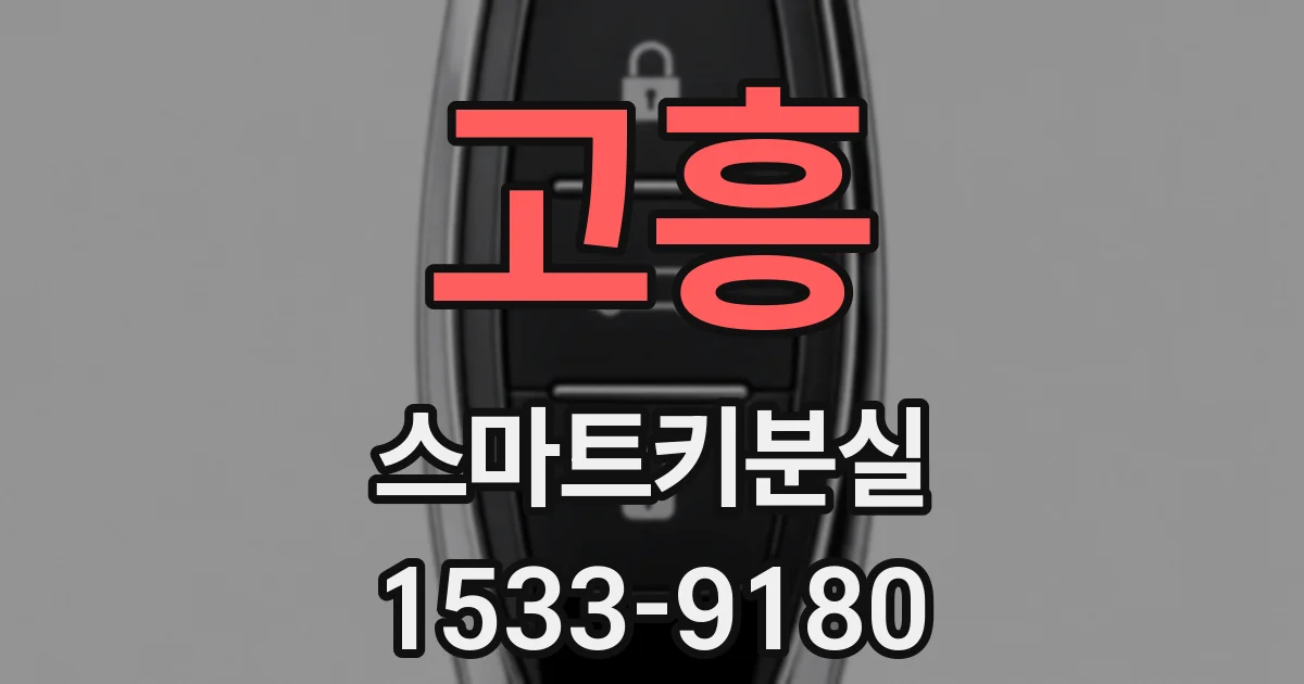 고흥 스마트키분실