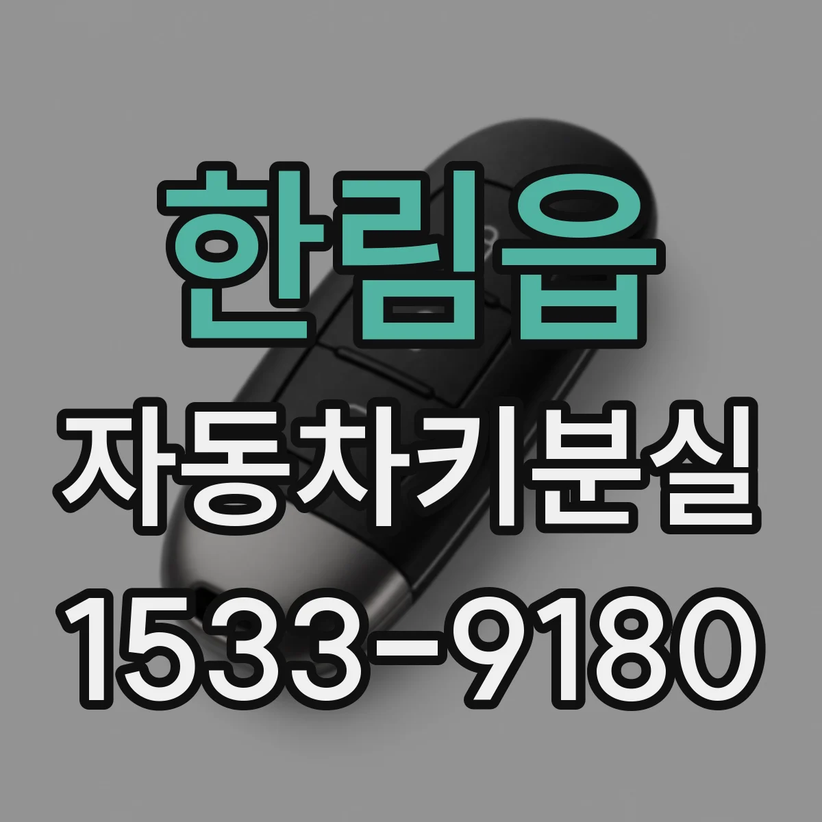 한림읍 자동차키분실