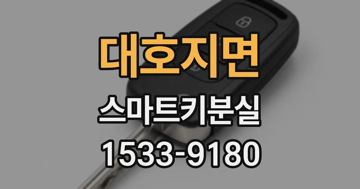 대호지면 스마트키분실