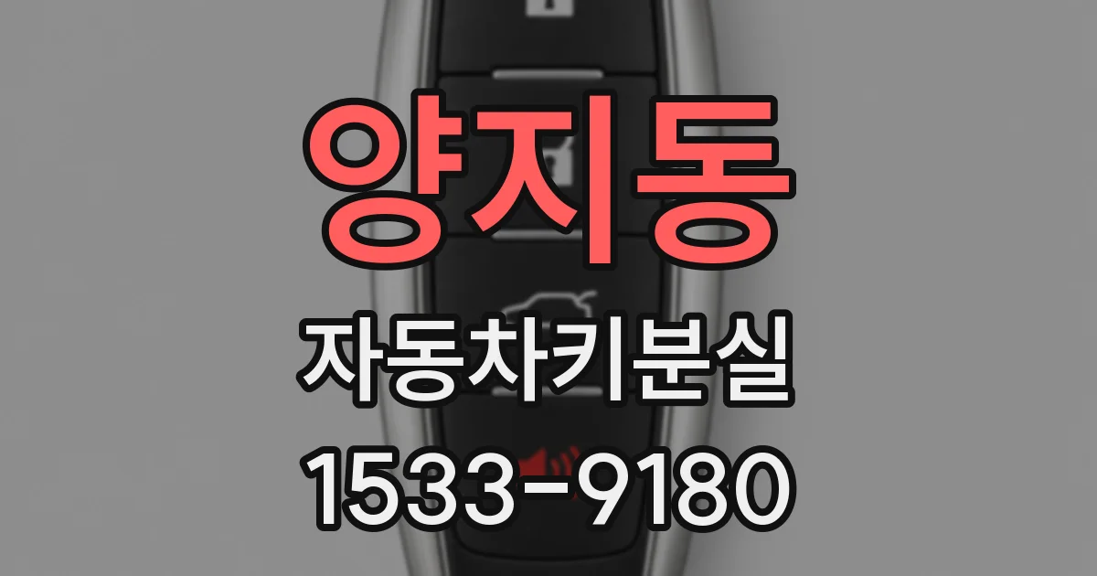 양지동 자동차키분실