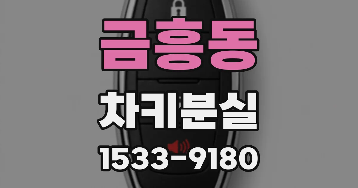 금흥동 차키분실
