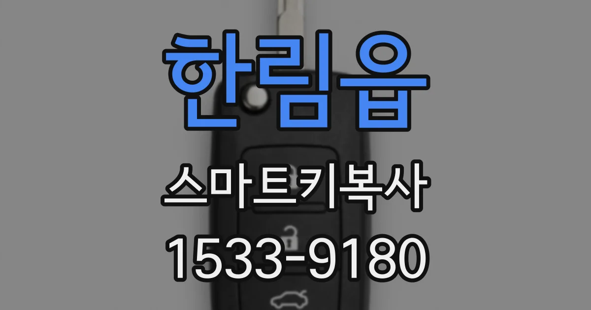 한림읍 스마트키복사