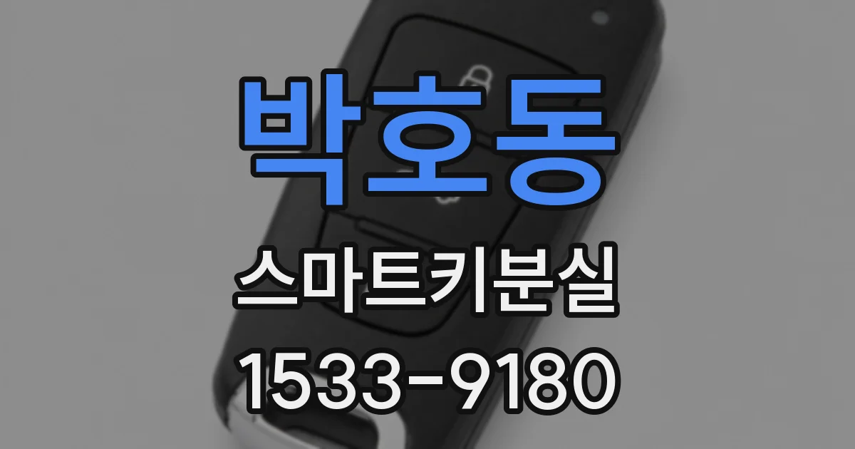 박호동 스마트키분실