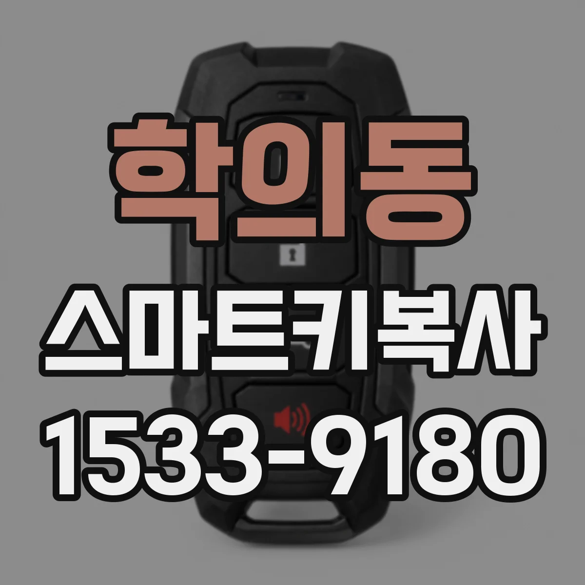 학의동 스마트키복사