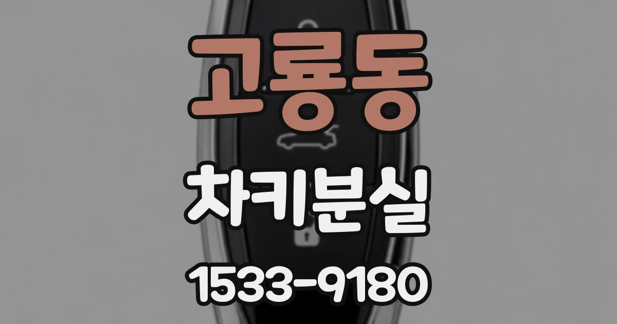 고룡동 차키분실