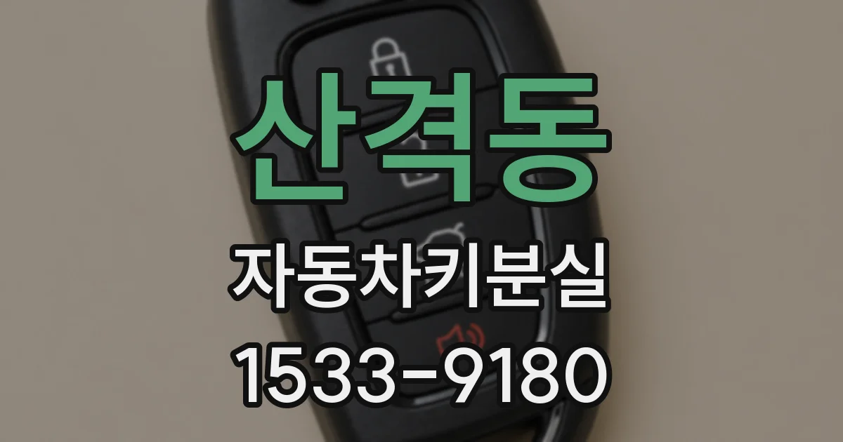산격동 자동차키분실
