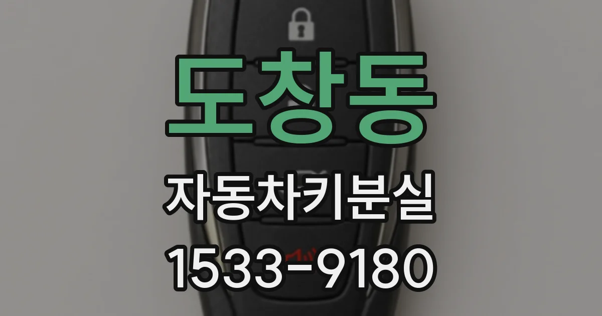 도창동 자동차키분실