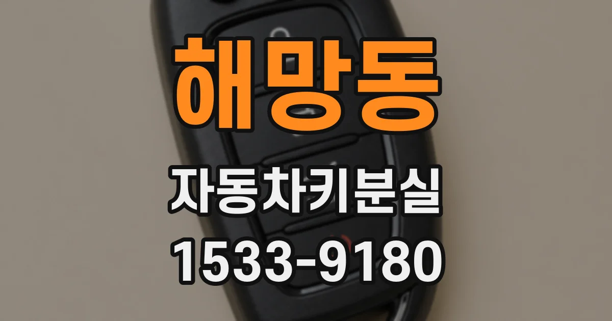 해망동 자동차키분실
