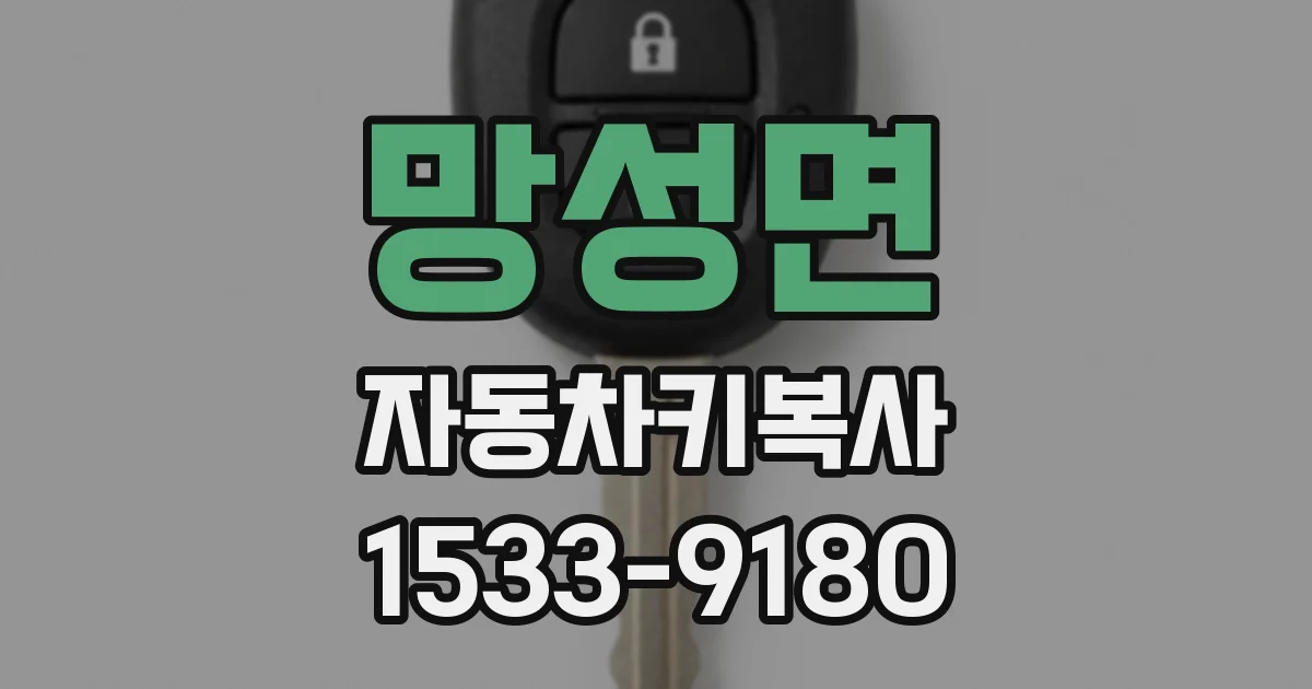 망성면 자동차키복사