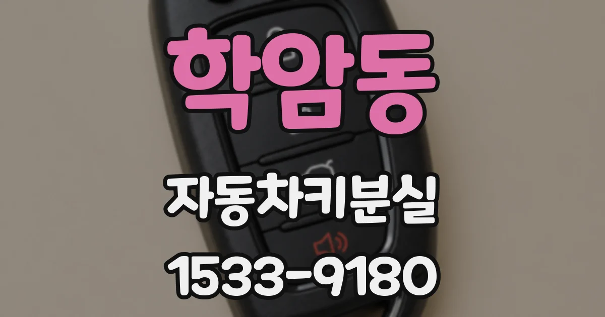 학암동 자동차키분실