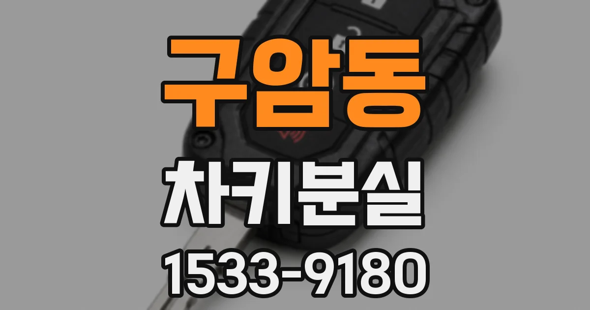 구암동 차키분실