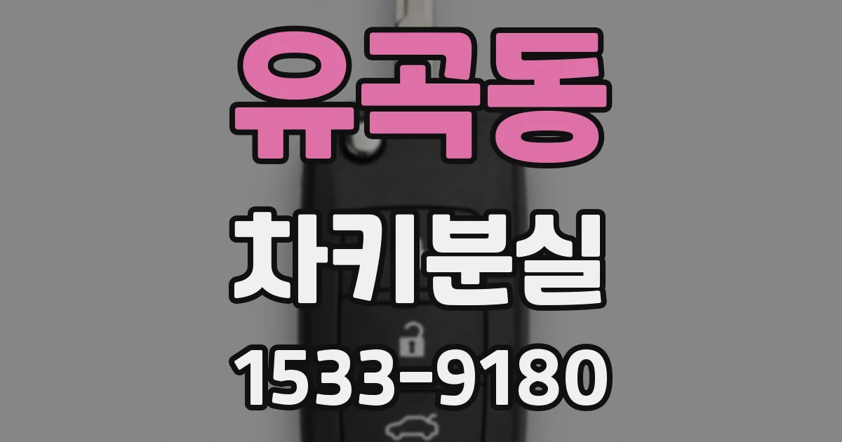 유곡동 차키분실