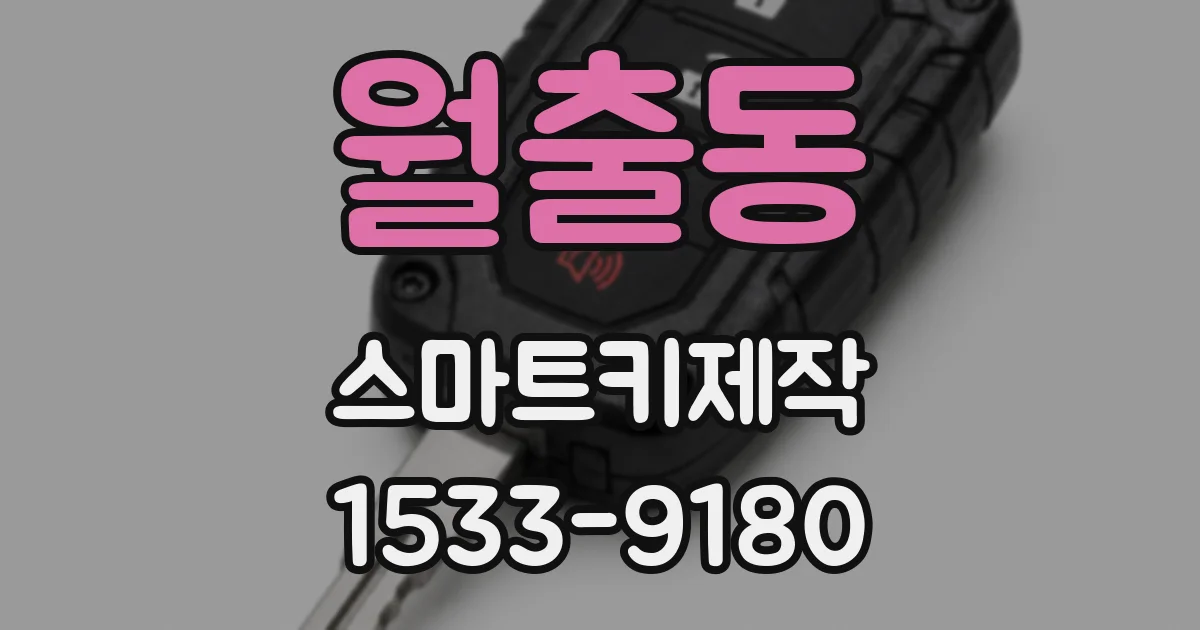 월출동 스마트키제작