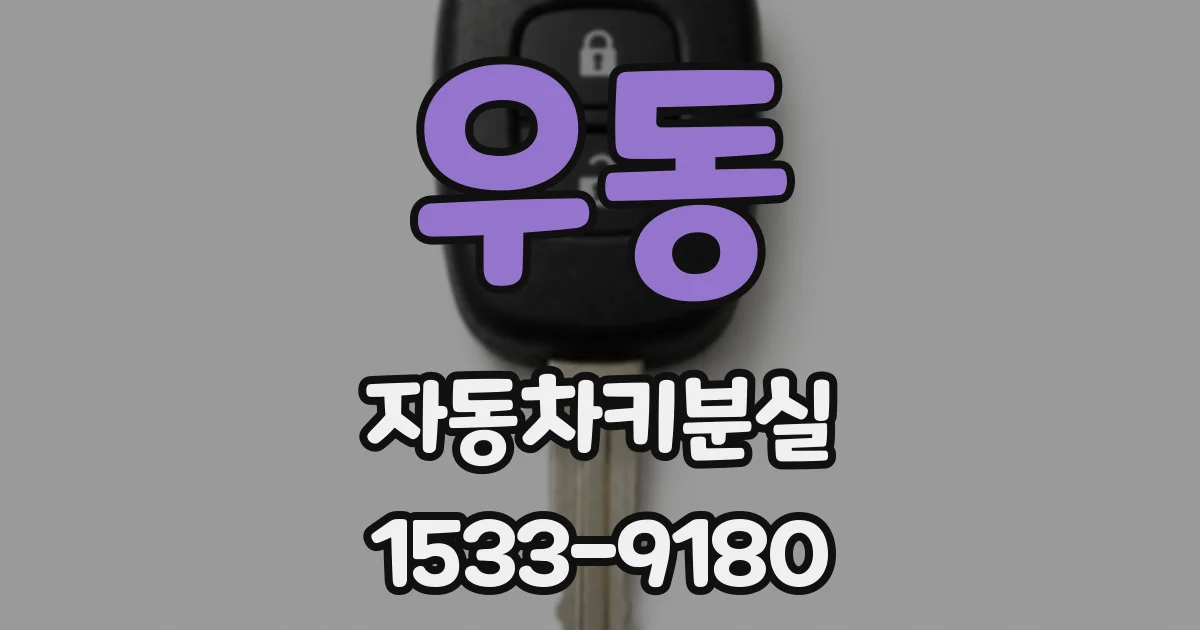 우동 자동차키분실