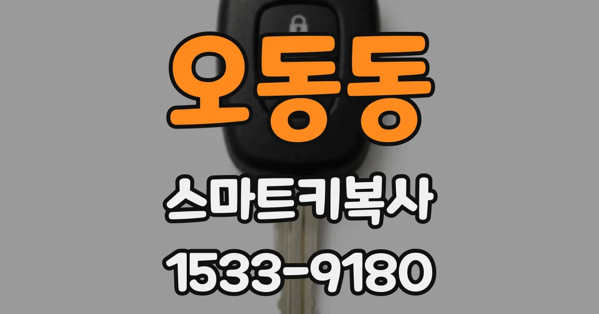 오동동 스마트키복사